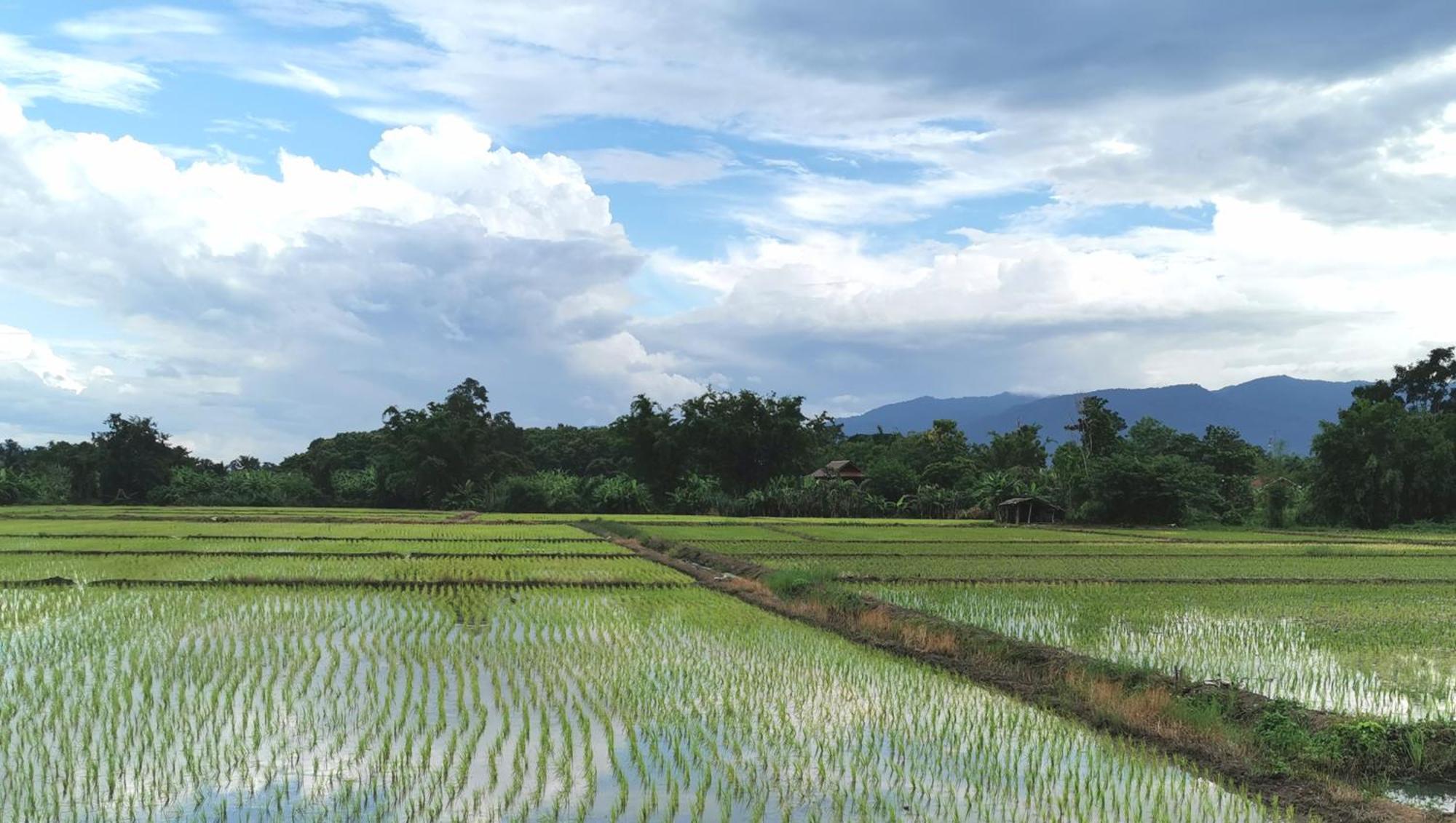 Wichouda Homestay Chiang Dao Esterno foto